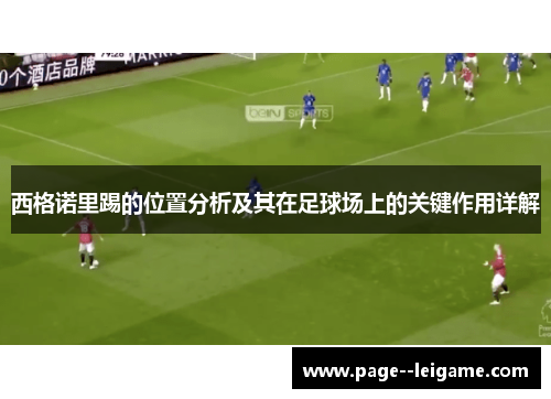 西格诺里踢的位置分析及其在足球场上的关键作用详解