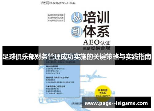 足球俱乐部财务管理成功实施的关键策略与实践指南 足球俱乐部财务管理成功实施的关键策略与实践指南