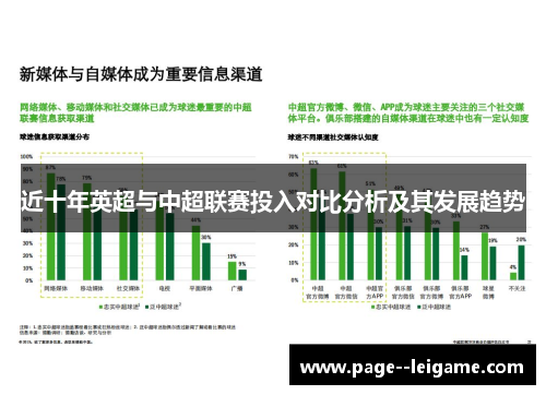 近十年英超与中超联赛投入对比分析及其发展趋势