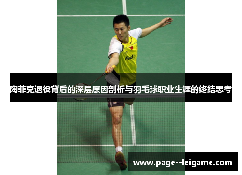 陶菲克退役背后的深层原因剖析与羽毛球职业生涯的终结思考 陶菲克退役背后的深层原因剖析与羽毛球职业生涯的终结思考