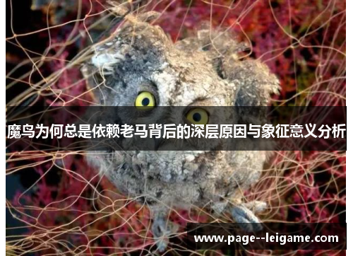魔鸟为何总是依赖老马背后的深层原因与象征意义分析 魔鸟为何总是依赖老马背后的深层原因与象征意义分析