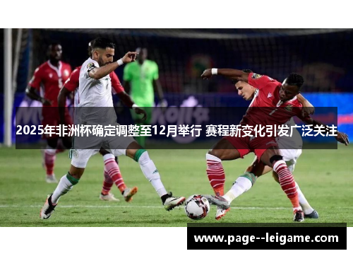 2025年非洲杯确定调整至12月举行 赛程新变化引发广泛关注 2025年非洲杯确定调整至12月举行 赛程新变化引发广泛关注