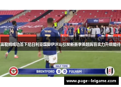 富勒姆成功签下尼日利亚国脚伊沃比引发新赛季英超阵容实力升级期待