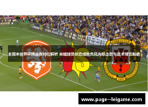 本周末世界杯预选赛对位解析 关键球员状态成胜负风向标走势与战术博弈前瞻